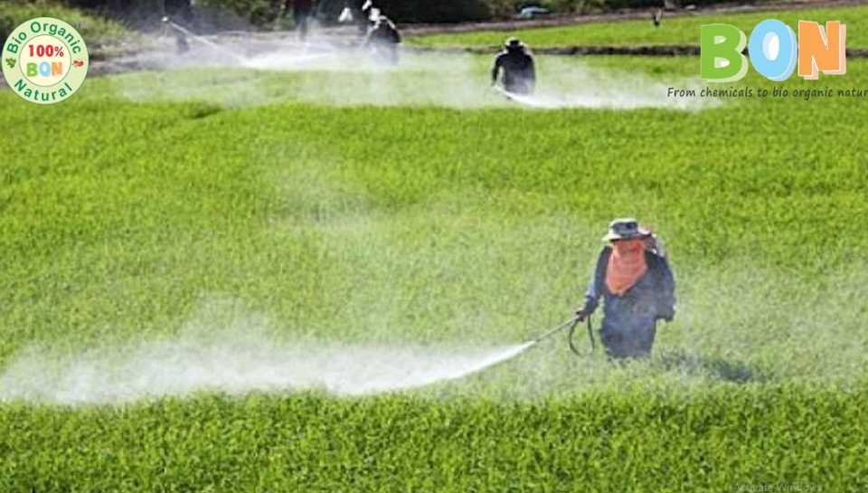 Chemical Farming Shattered Agriculture Sanjay Blogger)img