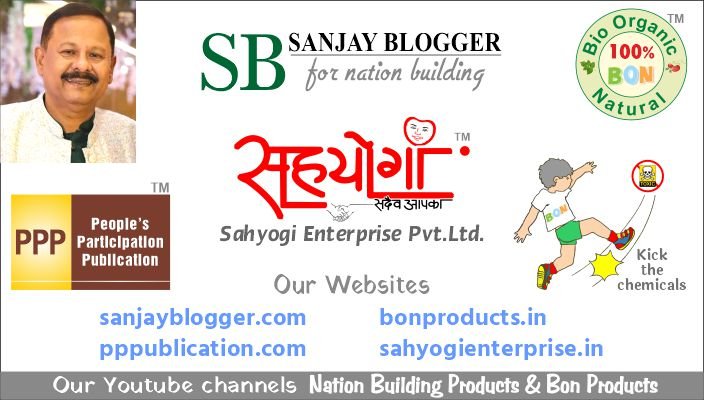 Sanjay Blogger Website Pages)img