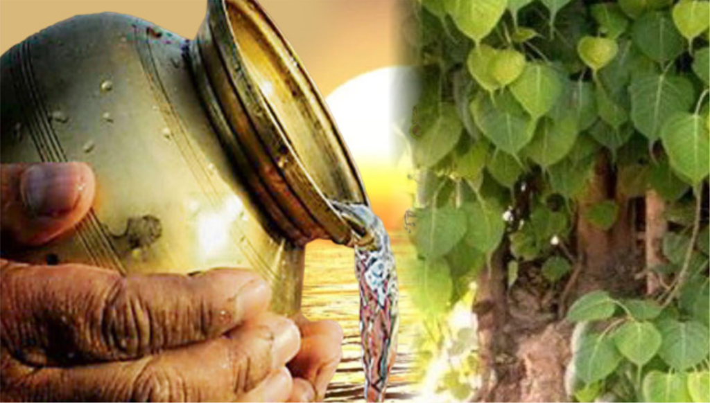 पीपल क्यों है देव वृक्ष Sanjay Blogger (11))img