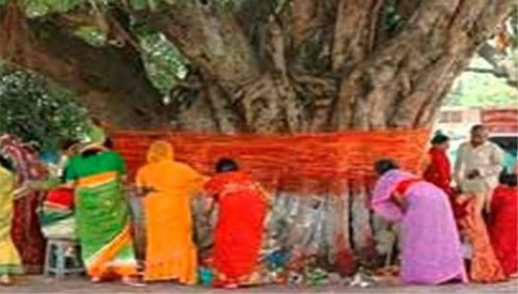 पीपल क्यों है देव वृक्ष Sanjay Blogger (5))img